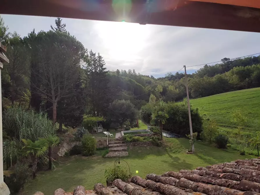 Immagine 45 di Casa colonica in vendita  a San Miniato