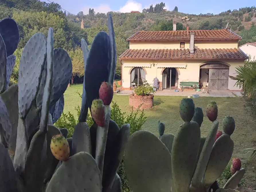 Immagine 47 di Casa colonica in vendita  a San Miniato