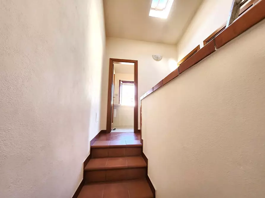 Immagine 13 di Terratetto in vendita  a Lucca