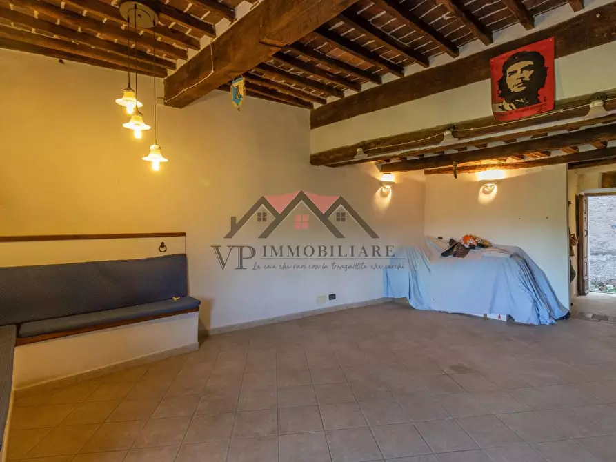 Immagine 11 di Appartamento in vendita  a Castelnuovo Val Di Cecina