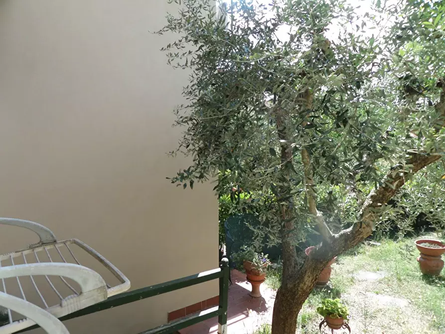 Immagine 19 di Appartamento in vendita  a San Miniato