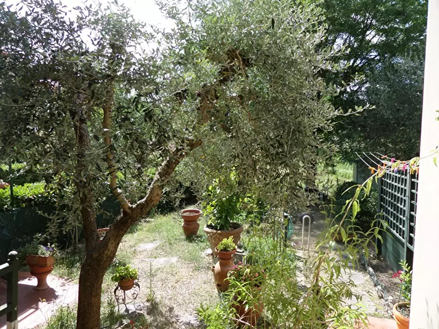 Immagine 17 di Appartamento in vendita  a San Miniato