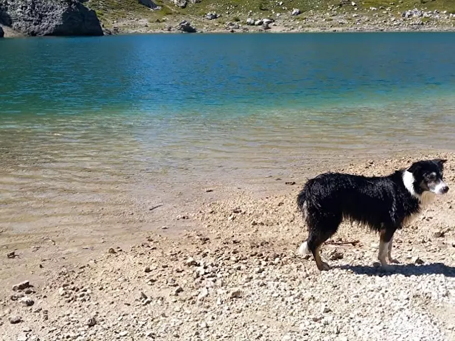 Immagine 22 di Locale commerciale in vendita  a Carrara