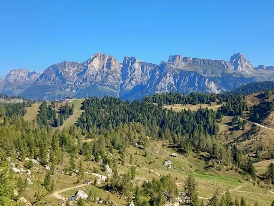 Immagine 17 di Locale commerciale in vendita  a Carrara