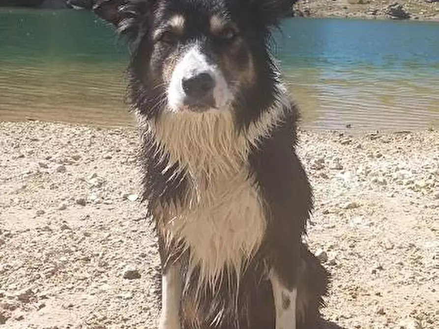 Immagine 24 di Locale commerciale in vendita  a Carrara