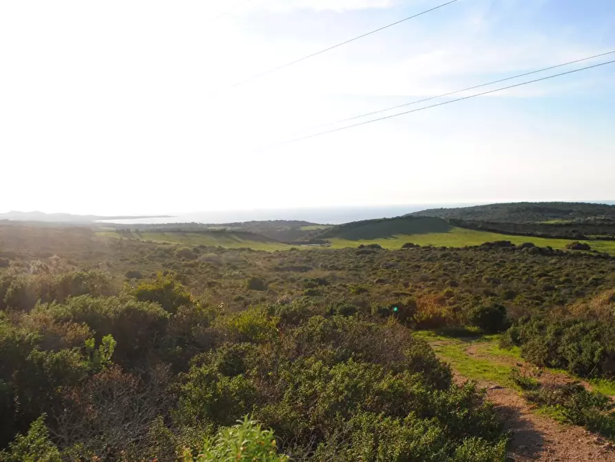 Immagine 12 di Terreno agricolo in vendita  a Aglientu