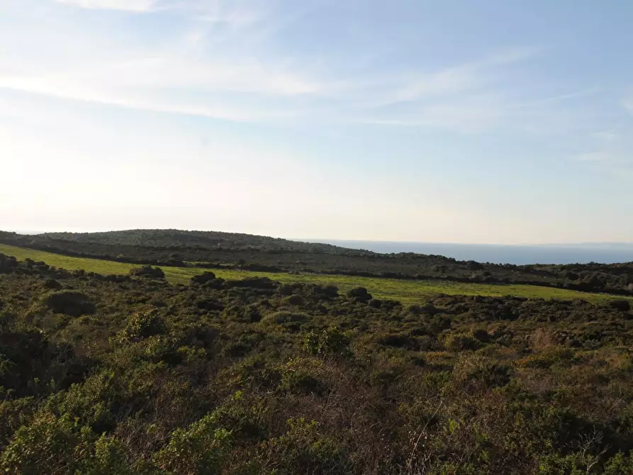 Immagine 3 di Terreno agricolo in vendita  a Aglientu