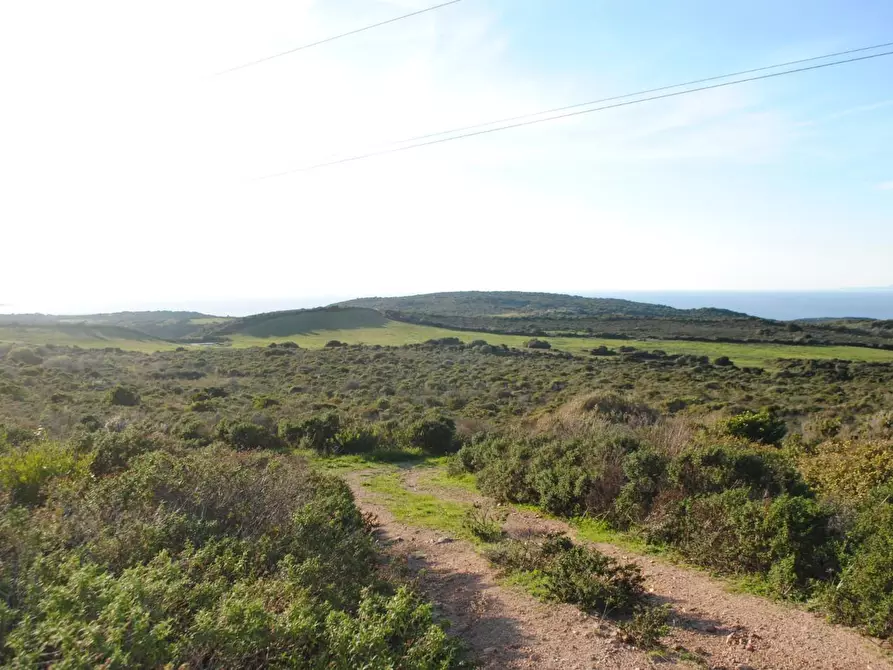 Immagine 13 di Terreno agricolo in vendita  a Aglientu