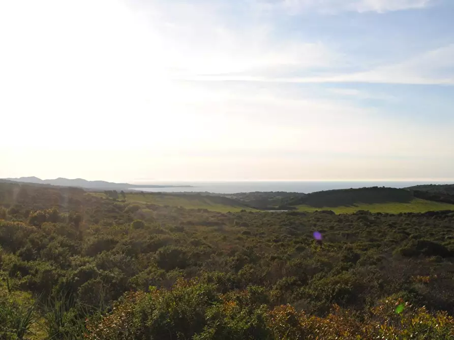 Immagine 9 di Terreno agricolo in vendita  a Aglientu