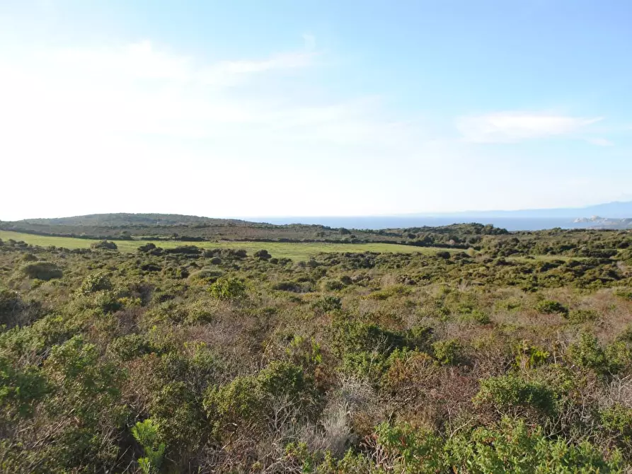 Immagine 2 di Terreno agricolo in vendita  a Aglientu