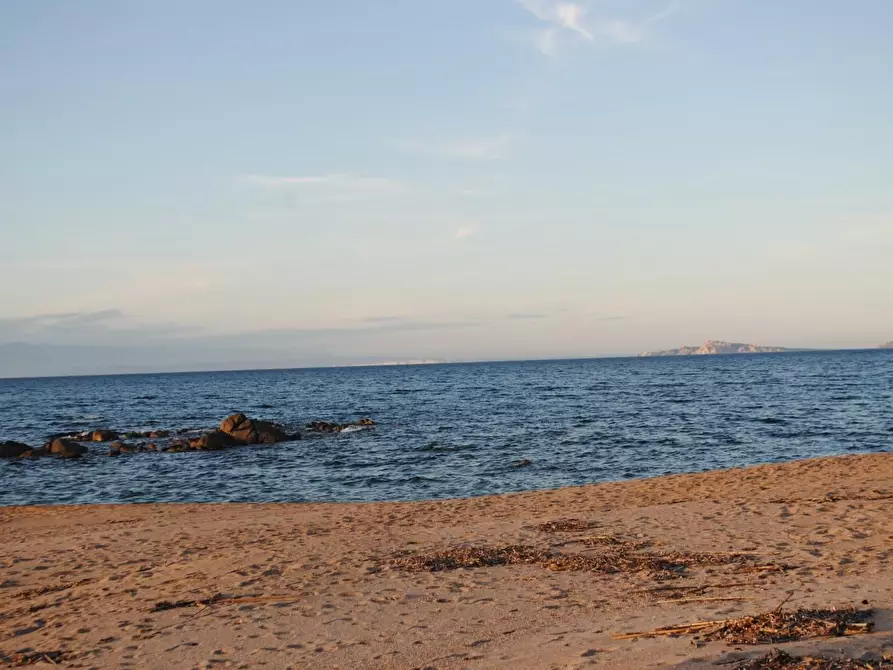 Immagine 23 di Terreno agricolo in vendita  a Aglientu