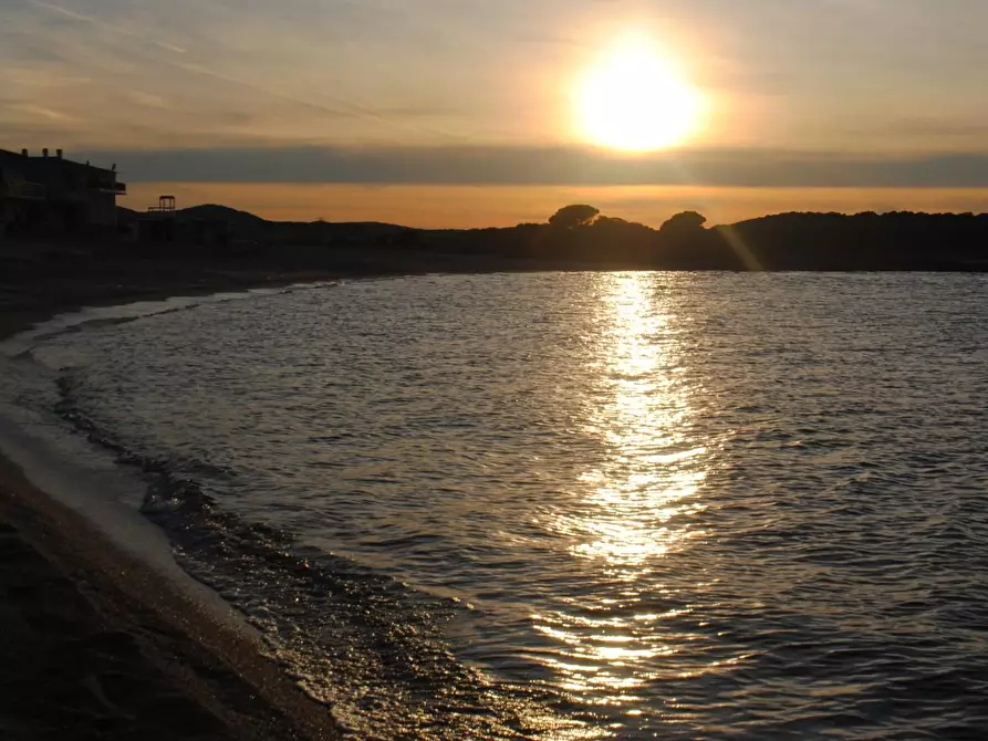 Immagine 25 di Terreno agricolo in vendita  a Aglientu