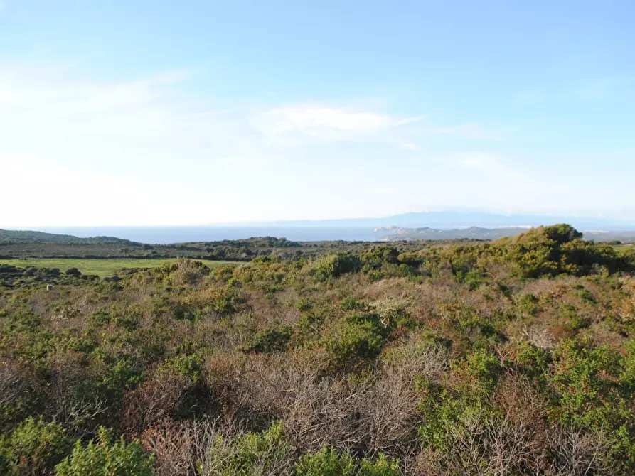 Immagine 8 di Terreno agricolo in vendita  a Aglientu