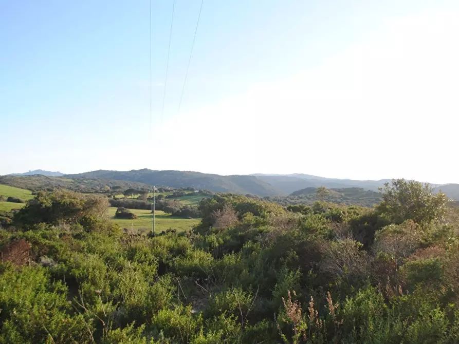 Immagine 19 di Terreno agricolo in vendita  a Aglientu