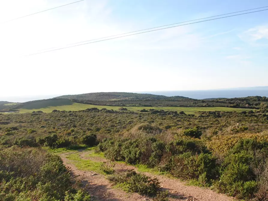 Immagine 14 di Terreno agricolo in vendita  a Aglientu