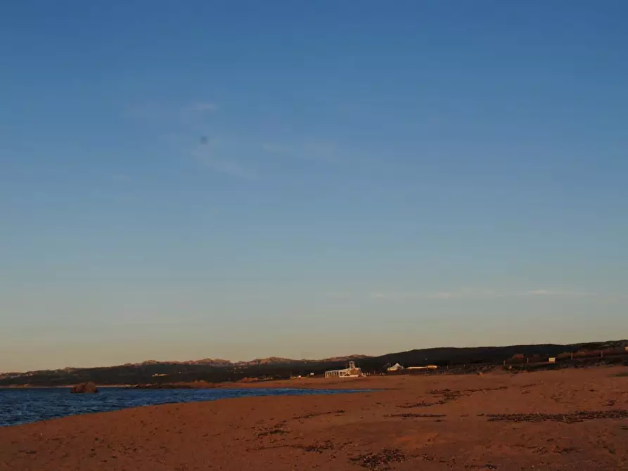 Immagine 24 di Terreno agricolo in vendita  a Aglientu