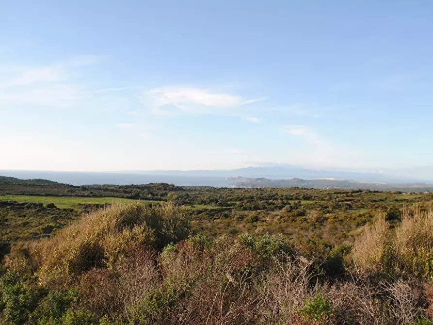 Immagine 10 di Terreno agricolo in vendita  a Aglientu