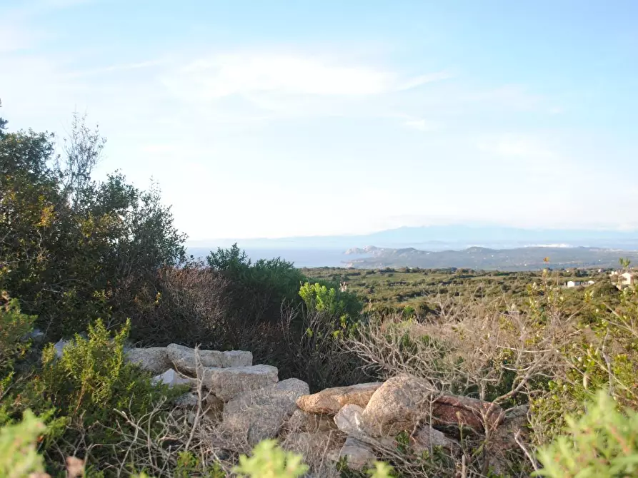 Immagine 18 di Terreno agricolo in vendita  a Aglientu