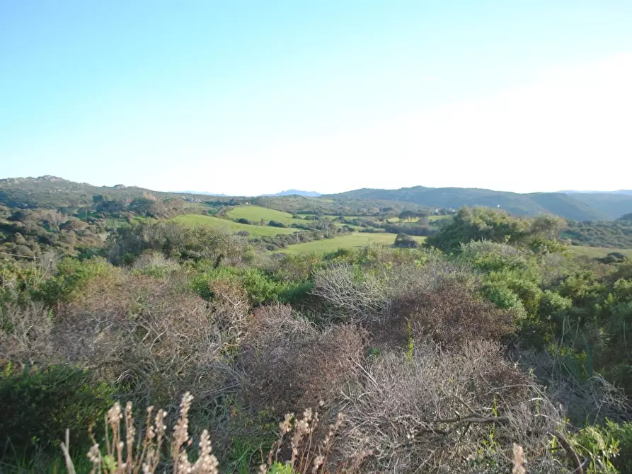 Immagine 20 di Terreno agricolo in vendita  a Aglientu