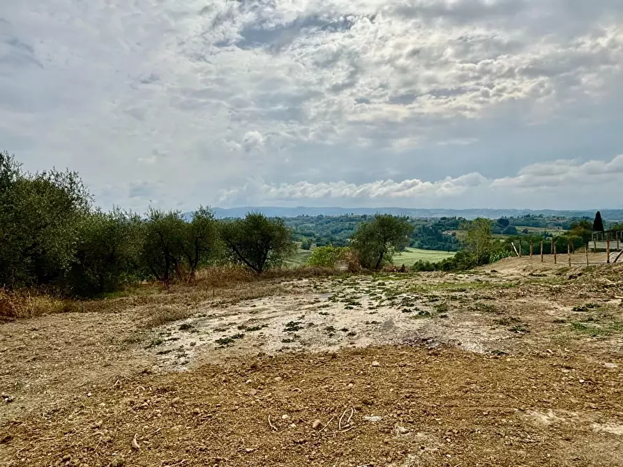 Immagine 2 di Terreno residenziale in vendita  a Capannoli