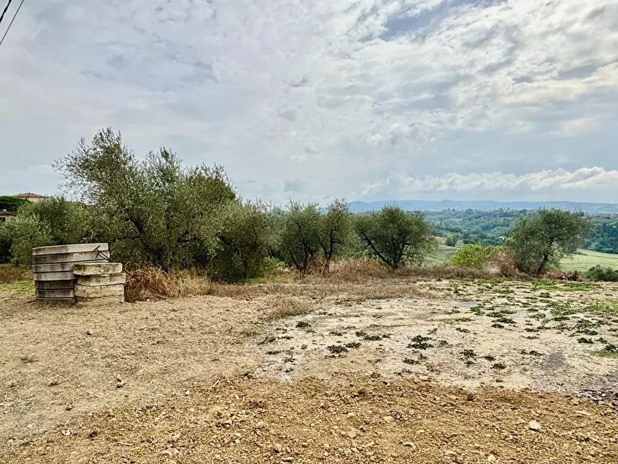 Immagine 3 di Terreno residenziale in vendita  a Capannoli