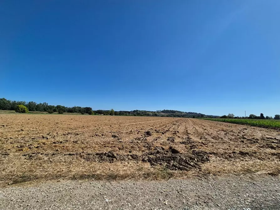 Immagine 1 di Terreno agricolo in vendita  a Fucecchio
