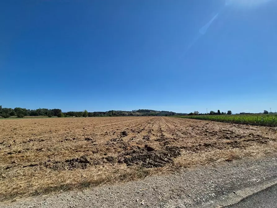 Immagine 3 di Terreno agricolo in vendita  a Fucecchio