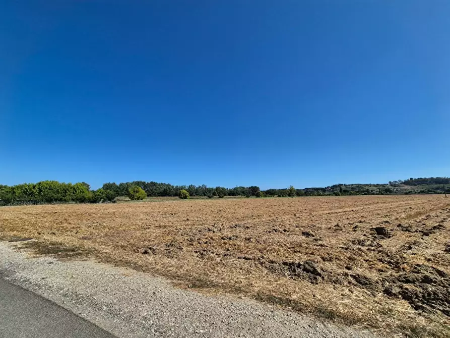 Immagine 2 di Terreno agricolo in vendita  a Fucecchio
