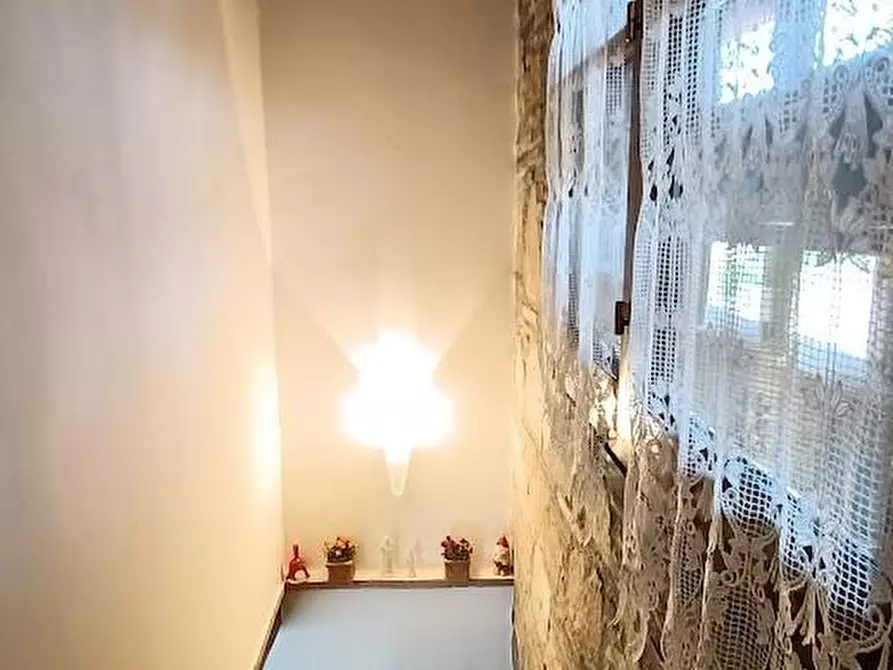 Immagine 17 di Casa indipendente in vendita  a Vecchiano