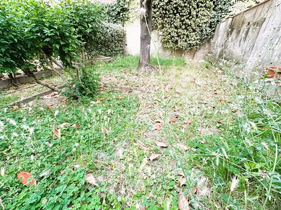 Immagine 11 di Terratetto in vendita  a Empoli