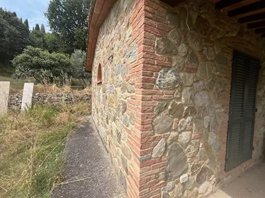 Immagine 19 di Casa colonica in vendita  a Chianni