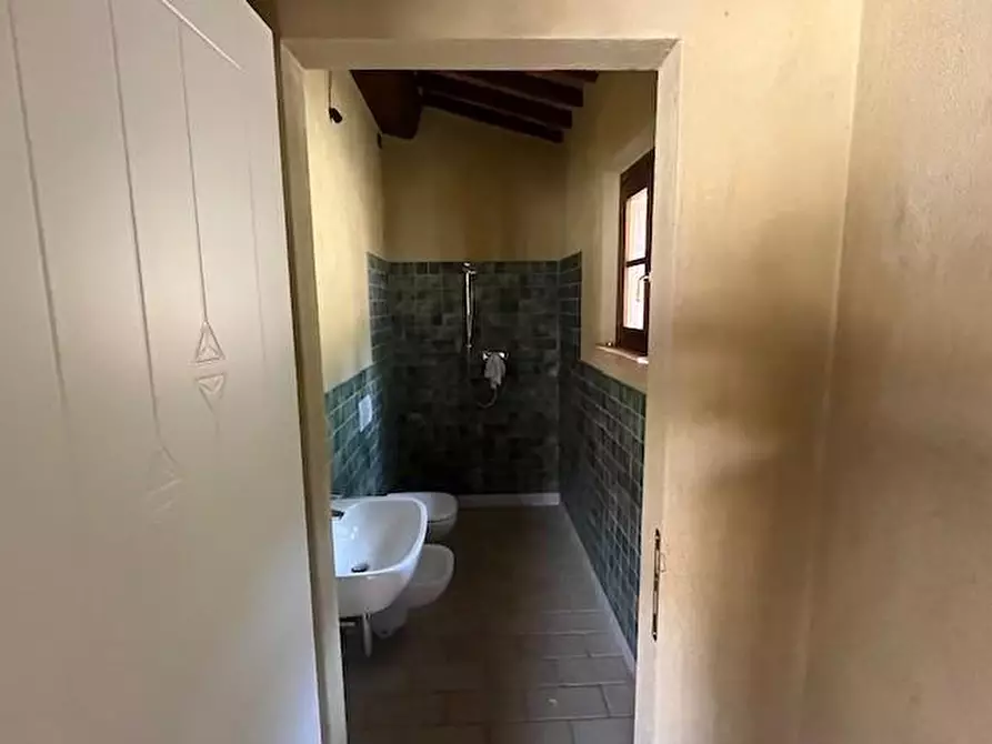 Immagine 25 di Casa colonica in vendita  a Chianni