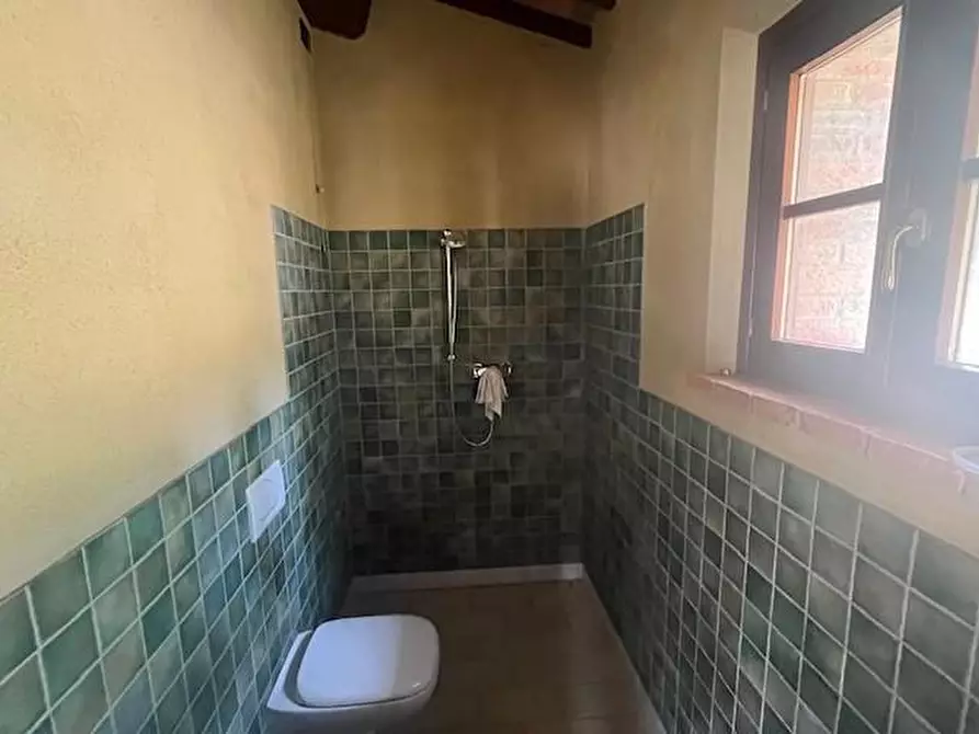 Immagine 26 di Casa colonica in vendita  a Chianni