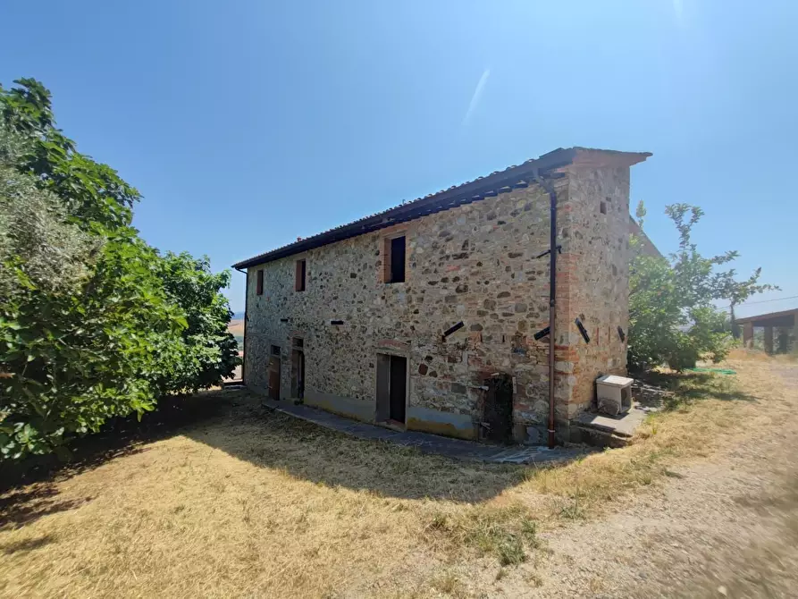 Immagine 11 di Casa colonica in vendita  a Chianni