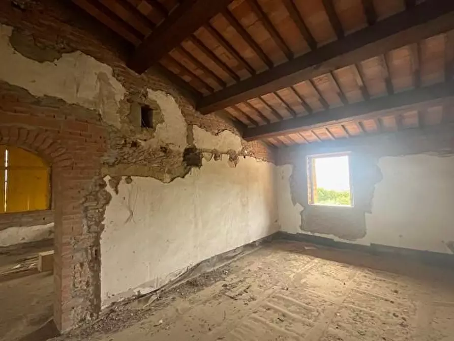 Immagine 9 di Casa colonica in vendita  a Chianni