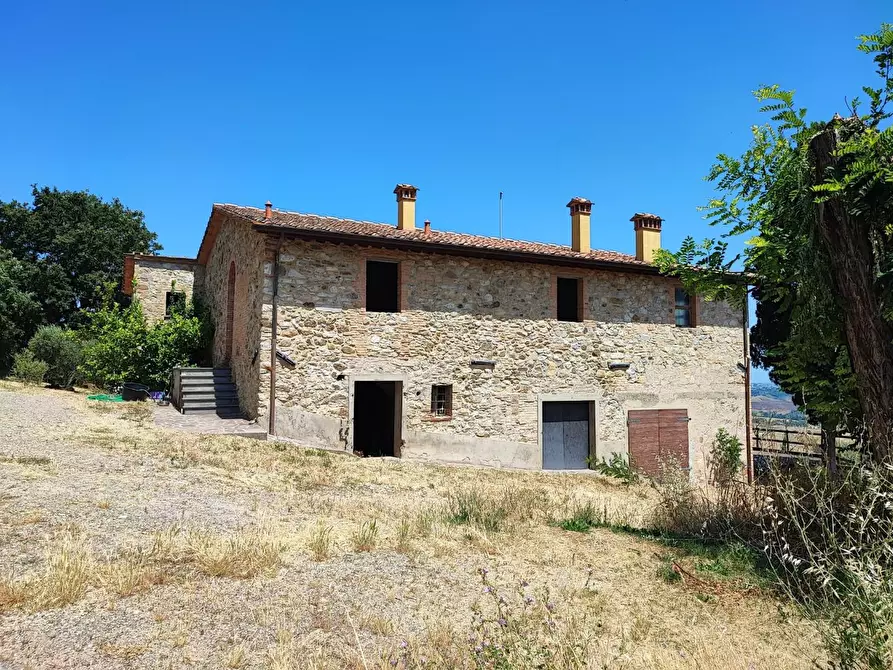 Immagine 3 di Casa colonica in vendita  a Chianni