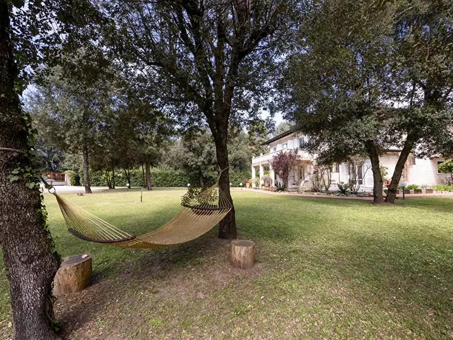 Immagine 8 di Villa in vendita  a Massa