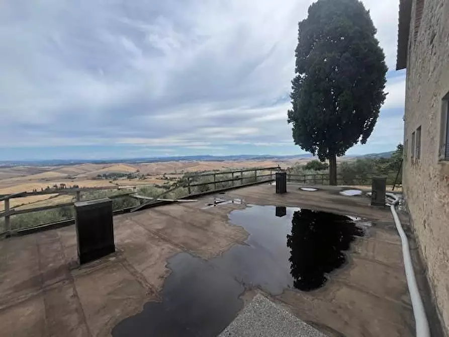 Immagine 16 di Azienda agricola in vendita  a Chianni
