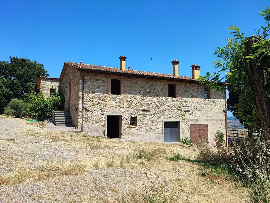 Immagine 3 di Azienda agricola in vendita  a Chianni