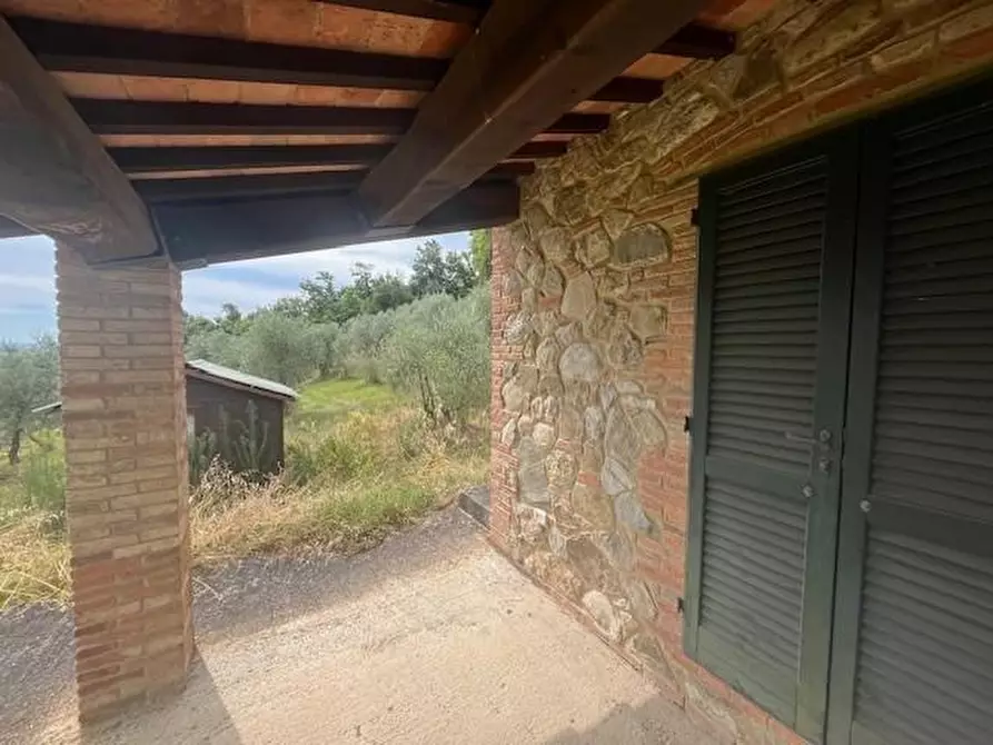 Immagine 18 di Azienda agricola in vendita  a Chianni