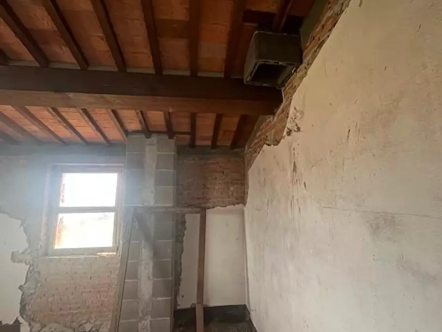 Immagine 32 di Azienda agricola in vendita  a Chianni