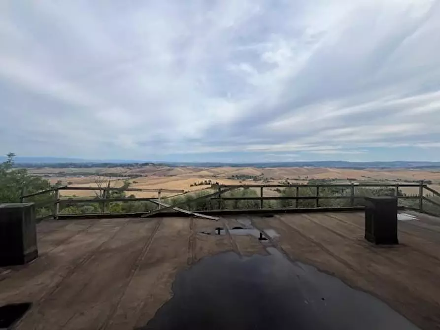 Immagine 7 di Azienda agricola in vendita  a Chianni