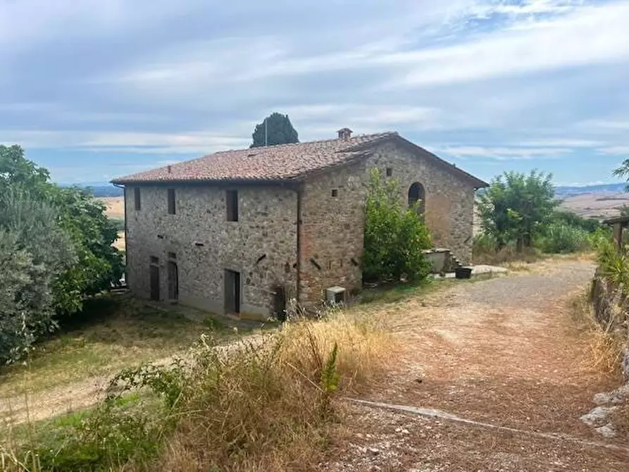 Immagine 8 di Azienda agricola in vendita  a Chianni