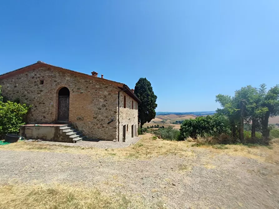 Immagine 5 di Azienda agricola in vendita  a Chianni