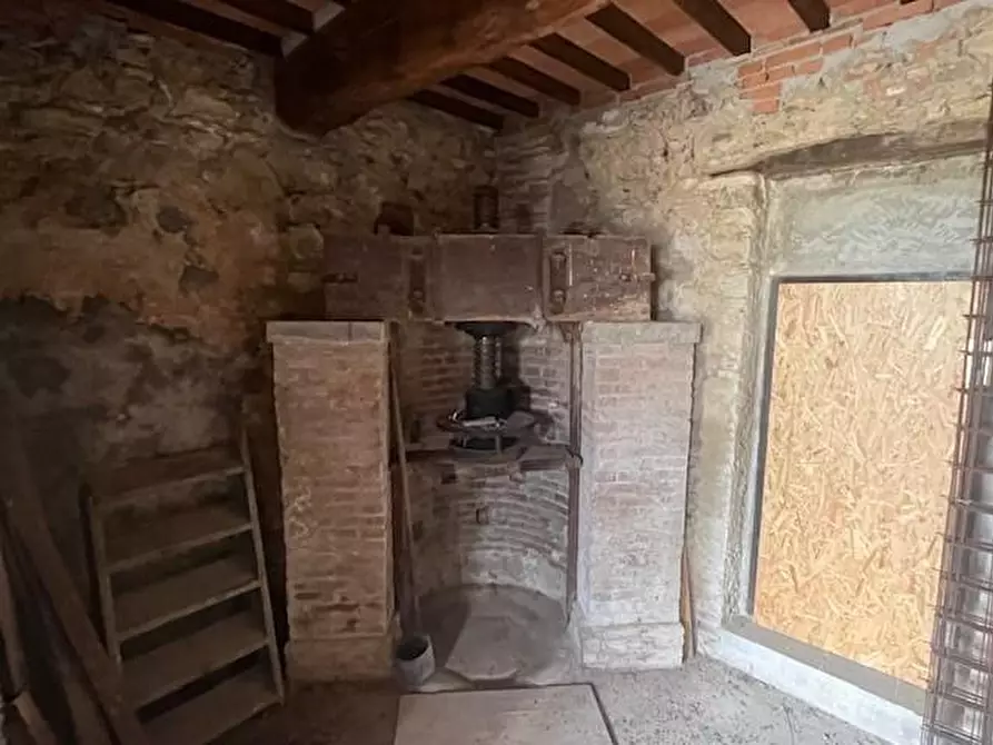 Immagine 35 di Azienda agricola in vendita  a Chianni