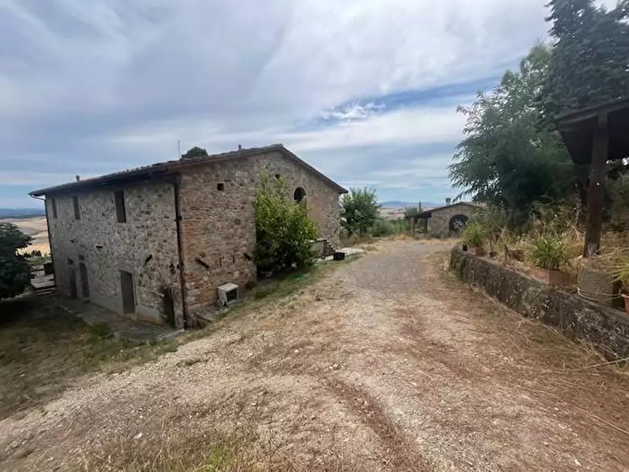 Immagine 13 di Azienda agricola in vendita  a Chianni