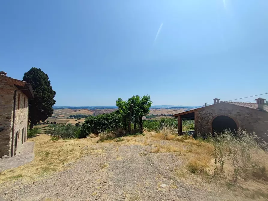 Immagine 12 di Azienda agricola in vendita  a Chianni