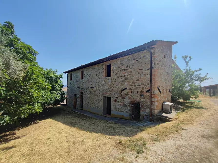Immagine 11 di Azienda agricola in vendita  a Chianni