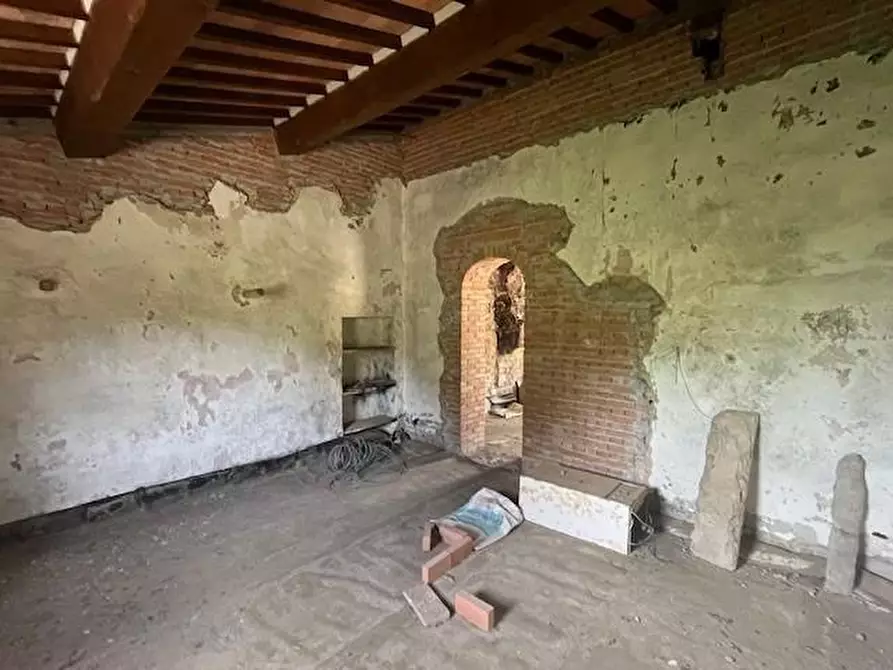 Immagine 6 di Azienda agricola in vendita  a Chianni