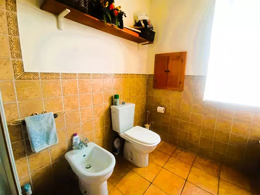 Immagine 22 di Terratetto in vendita  a Massa